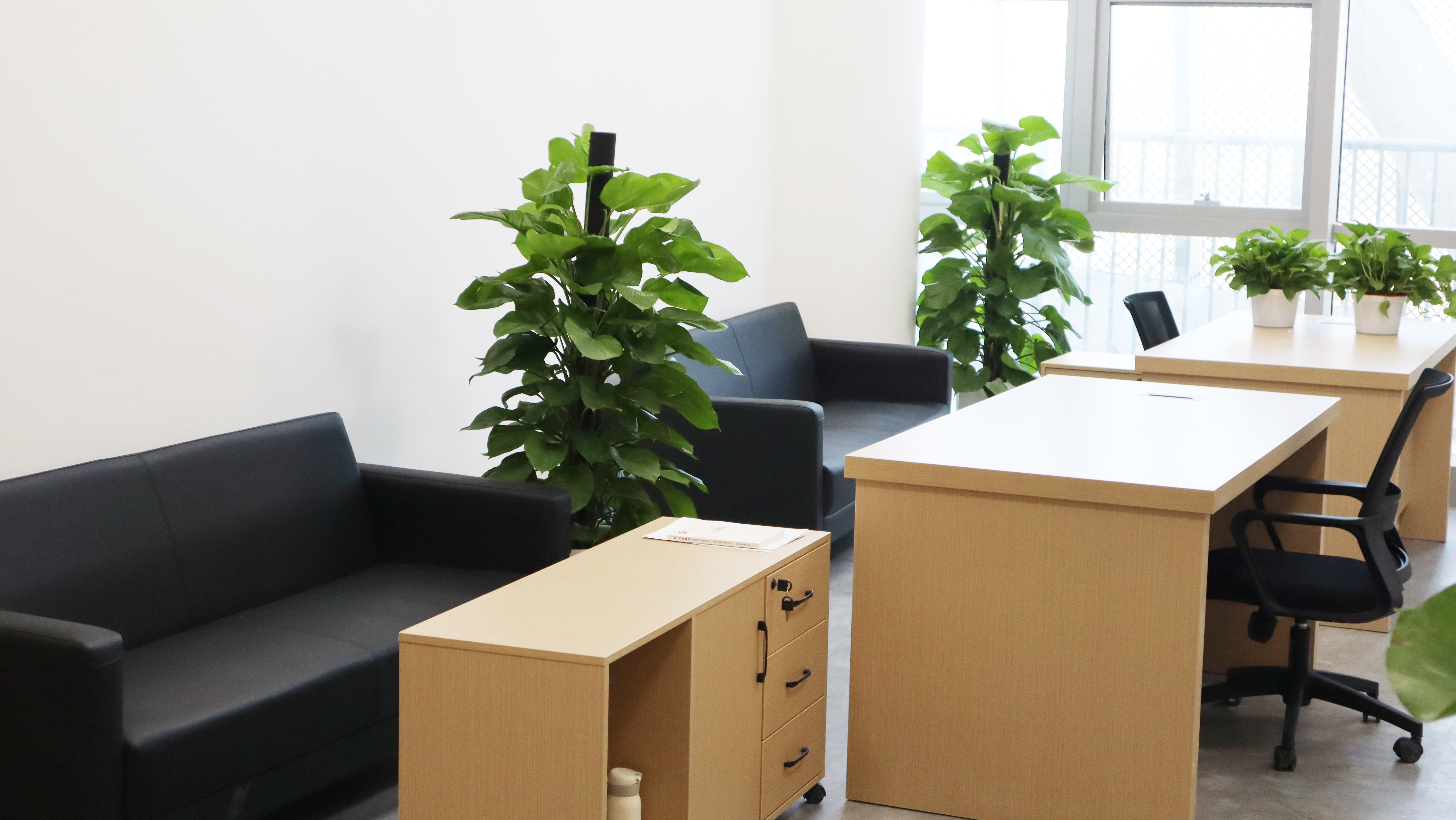 名师专家工作室